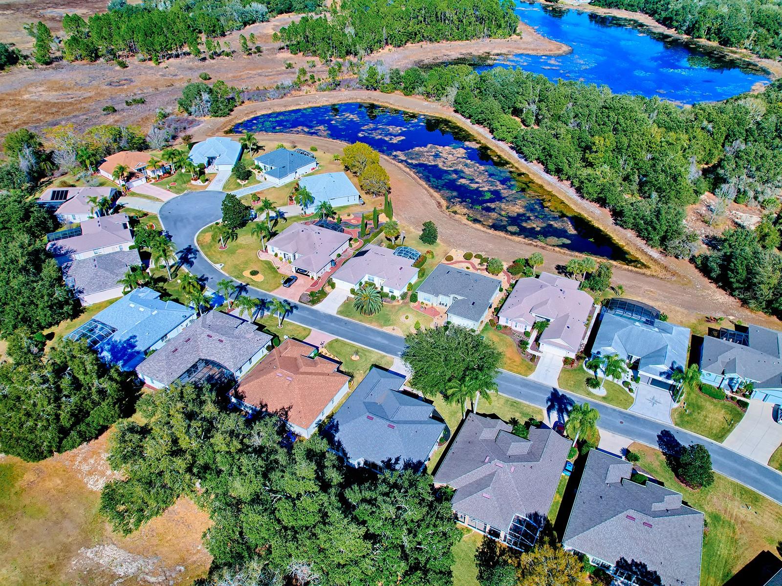 24239 BELLE MEDE DR, LEESBURG, FL, 34748