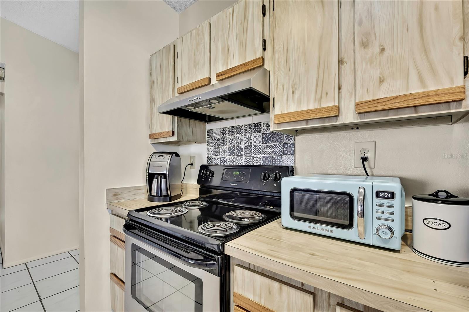 1521 PINEY BRANCH CIR, VALRICO, FL, 33594