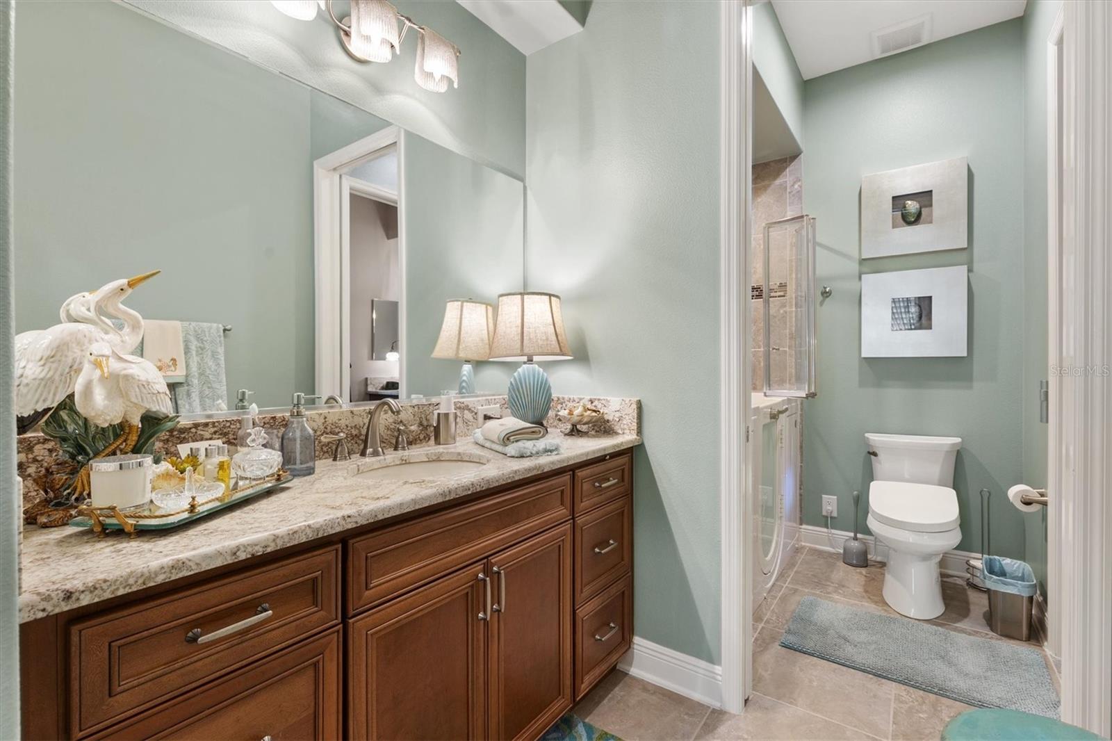 885 IRON OAK WAY, THE VILLAGES, FL, 32163