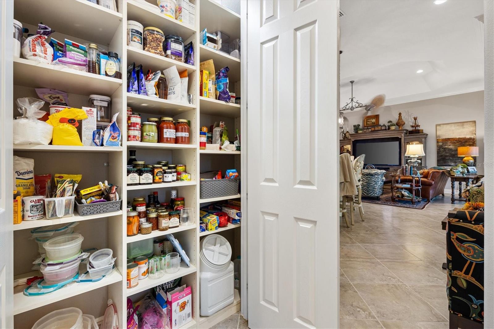 885 IRON OAK WAY, THE VILLAGES, FL, 32163