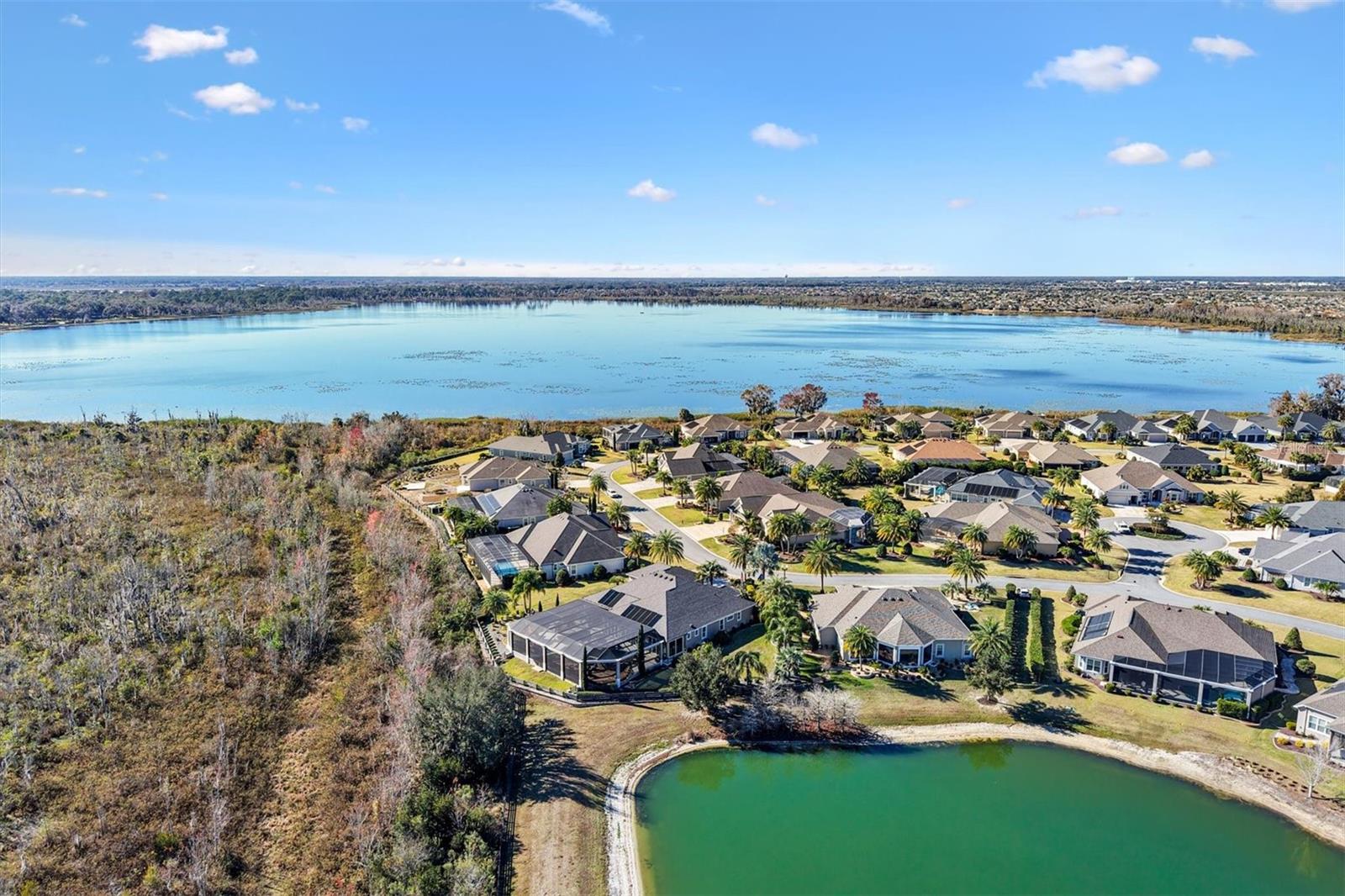 885 IRON OAK WAY, THE VILLAGES, FL, 32163