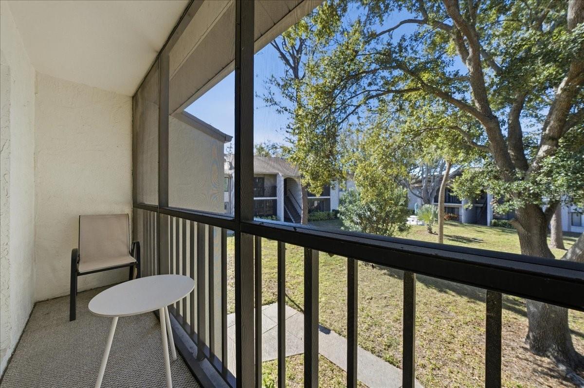 2666 PINE RIDGE WAY N #C2, PALM HARBOR, FL, 34684