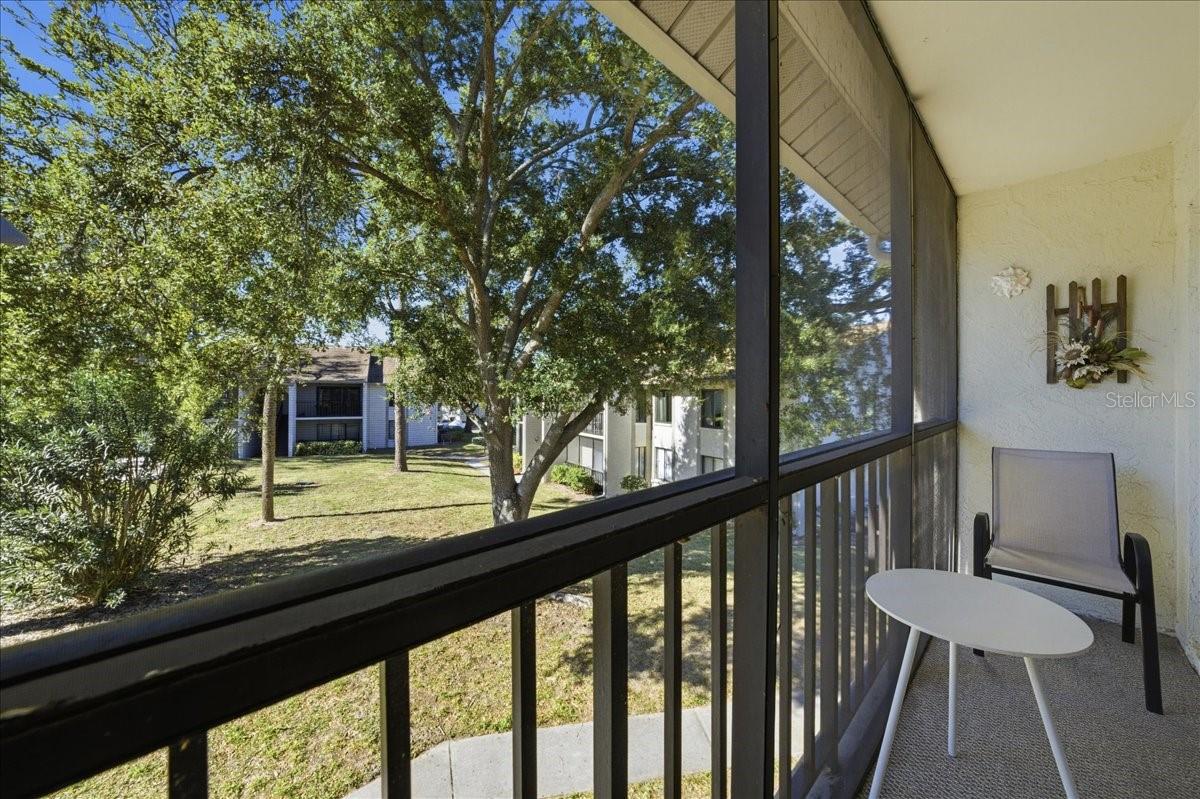 2666 PINE RIDGE WAY N #C2, PALM HARBOR, FL, 34684