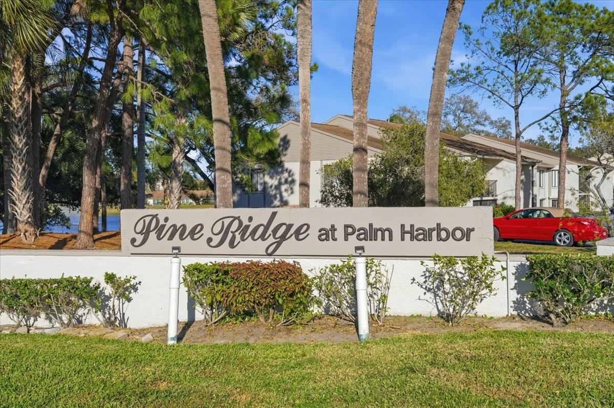 2666 PINE RIDGE WAY N #C2, PALM HARBOR, FL, 34684
