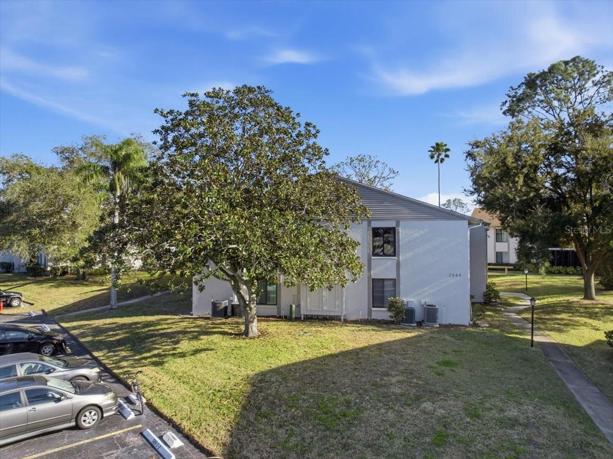 2666 PINE RIDGE WAY N #C2, PALM HARBOR, FL, 34684