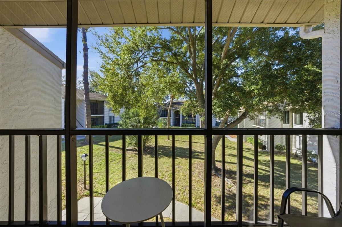 2666 PINE RIDGE WAY N #C2, PALM HARBOR, FL, 34684