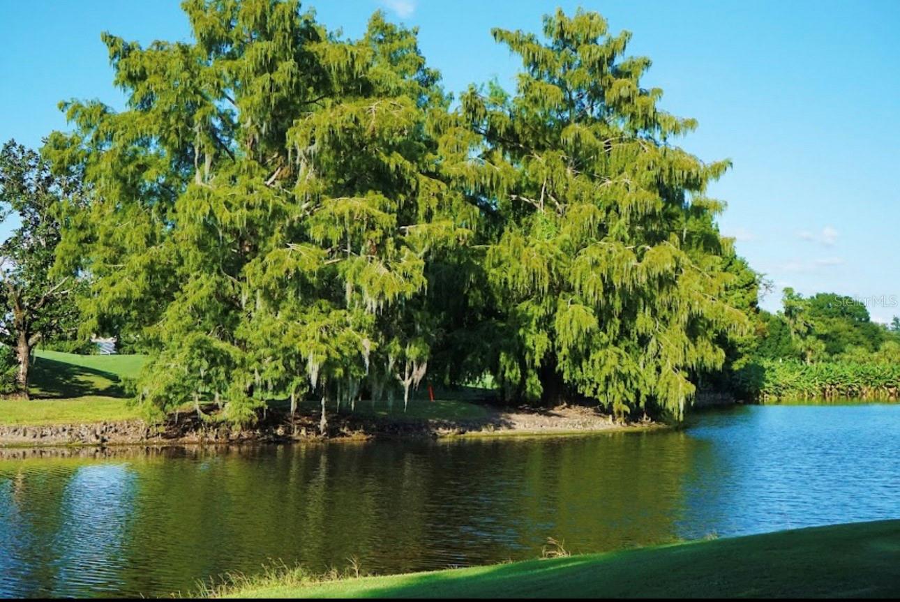 6707 STONE RIVER RD #101, BRADENTON, FL, 34203