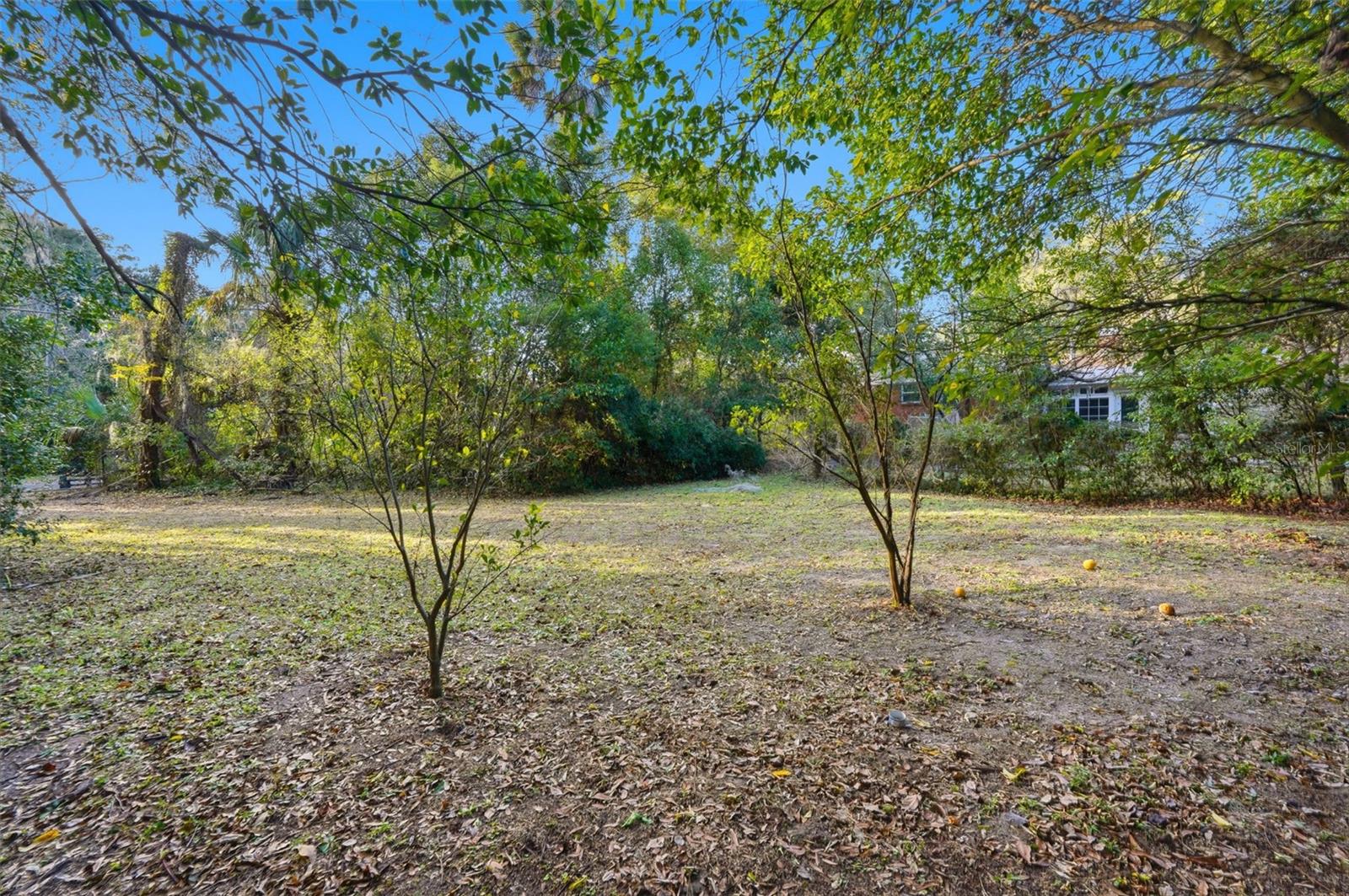 1423 NW 11TH RD, GAINESVILLE, FL, 32605