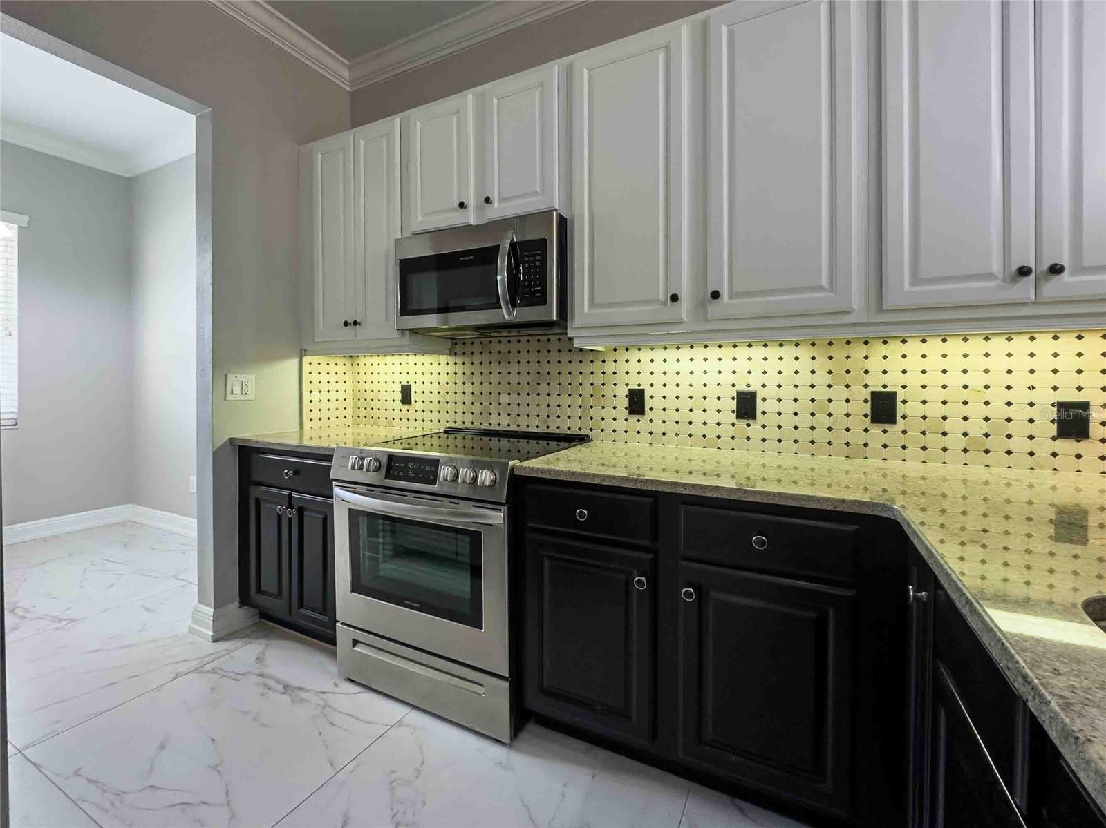 21011 PICASSO CT #I-103, LAND O LAKES, FL, 34637