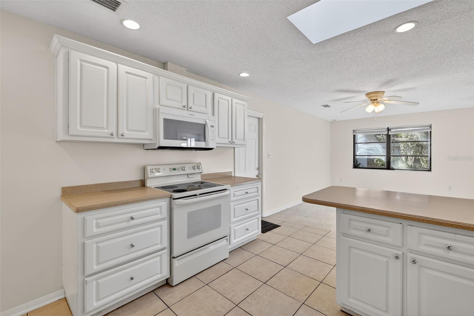 4128 HARRY DR, FRUITLAND PARK, FL, 34731