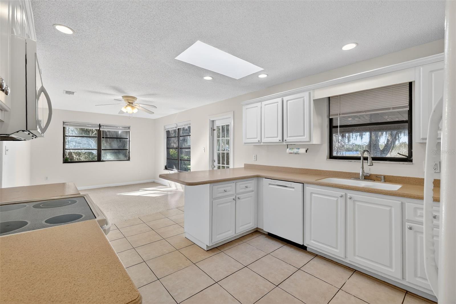 4128 HARRY DR, FRUITLAND PARK, FL, 34731