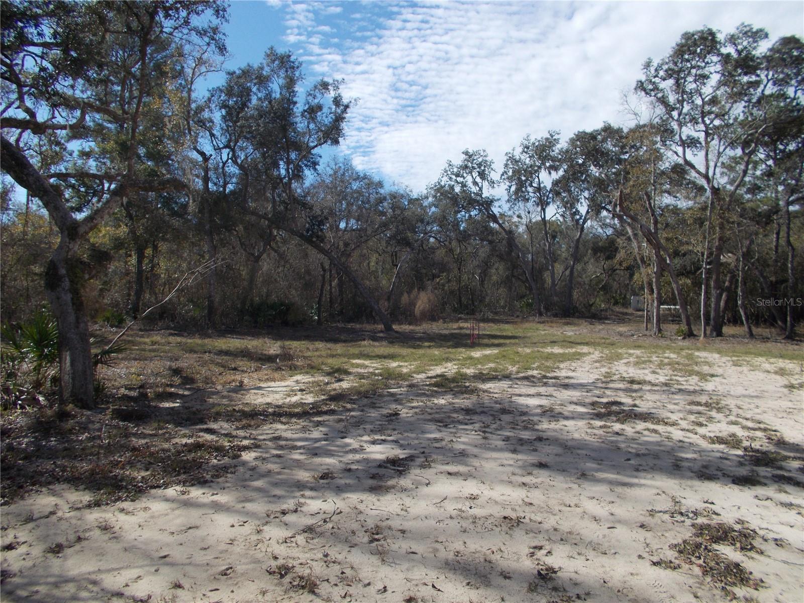 0000 NE 836TH ST, OLD TOWN, FL, 32680