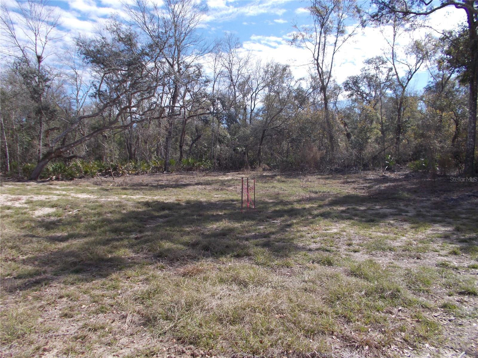 0000 NE 836TH ST, OLD TOWN, FL, 32680