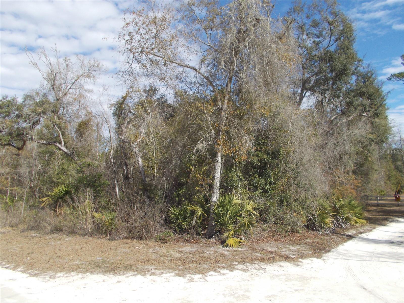 0000 NE 836TH ST, OLD TOWN, FL, 32680