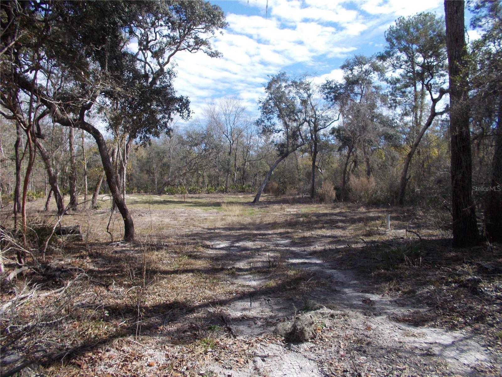 0000 NE 836TH ST, OLD TOWN, FL, 32680