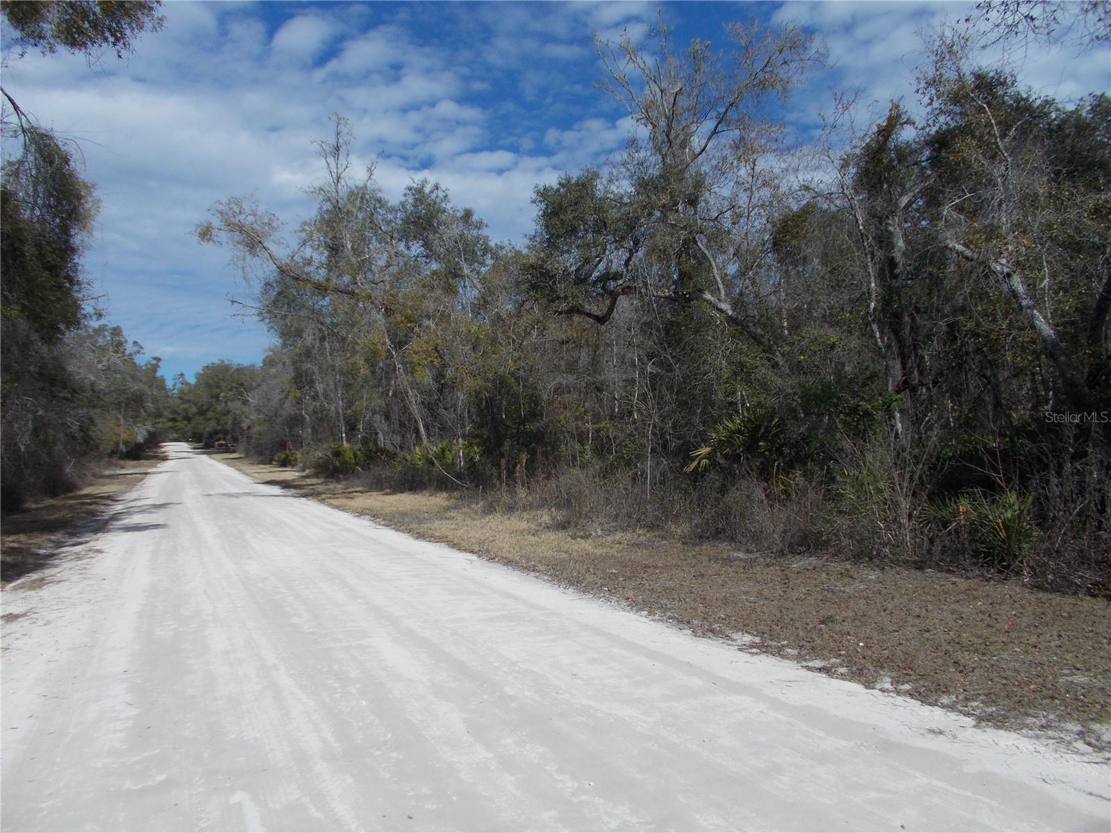 0000 NE 836TH ST, OLD TOWN, FL, 32680