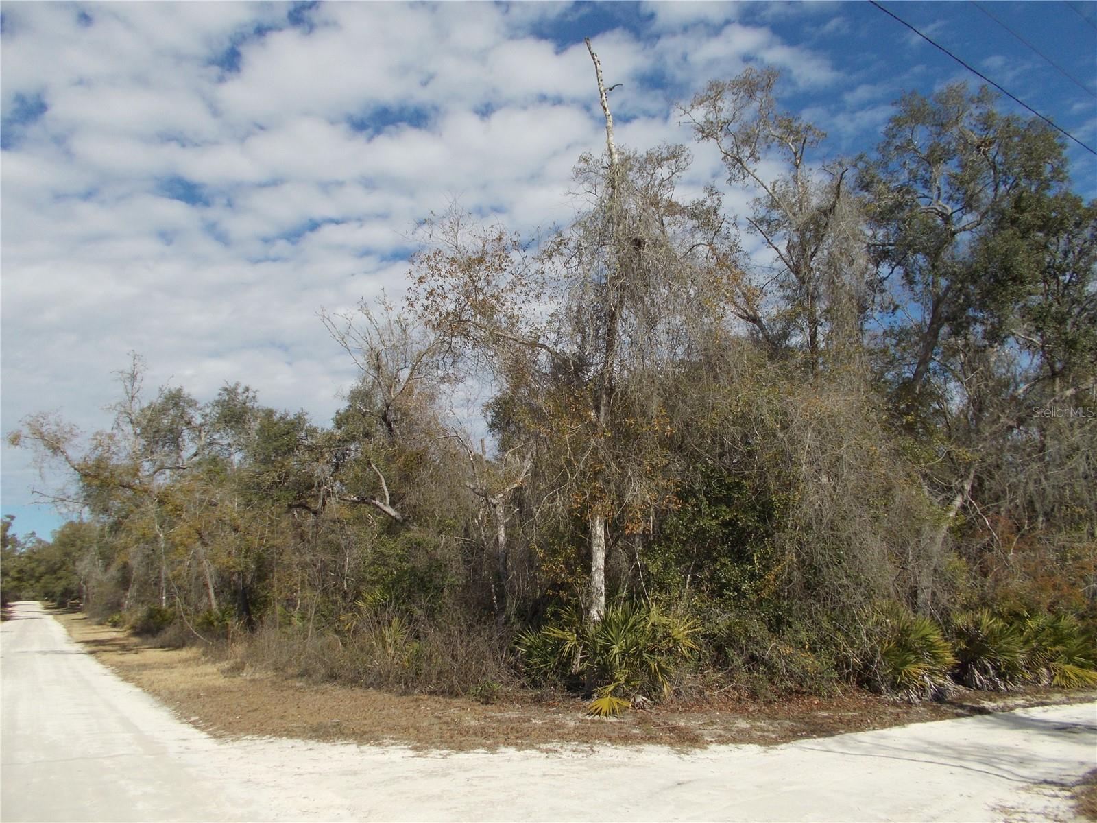 0000 NE 836TH ST, OLD TOWN, FL, 32680