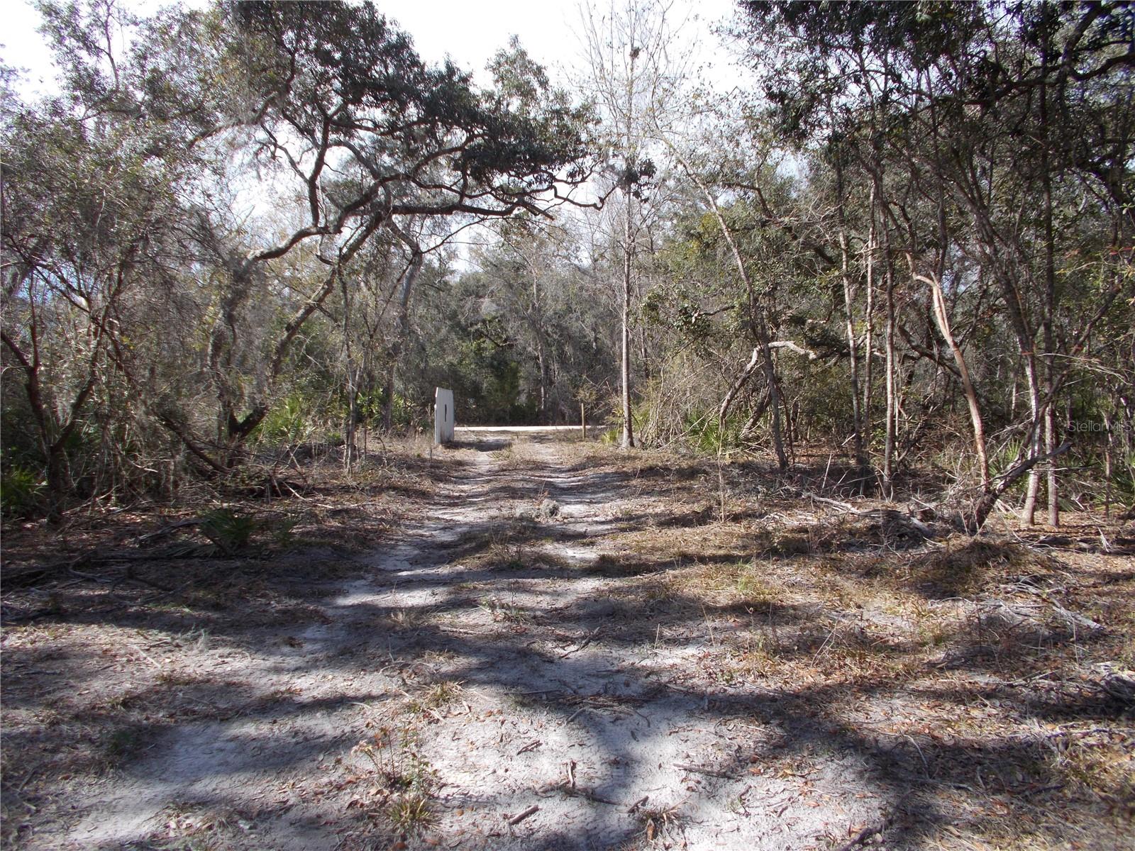 0000 NE 836TH ST, OLD TOWN, FL, 32680