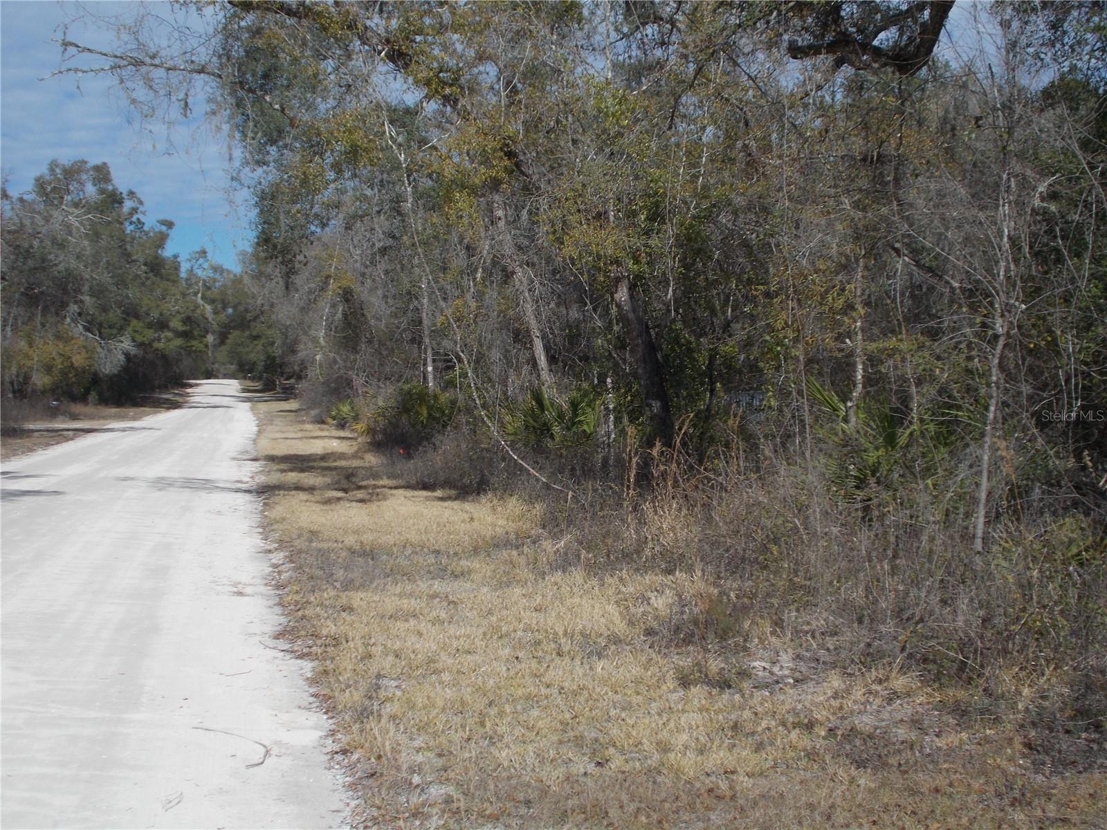 0000 NE 836TH ST, OLD TOWN, FL, 32680