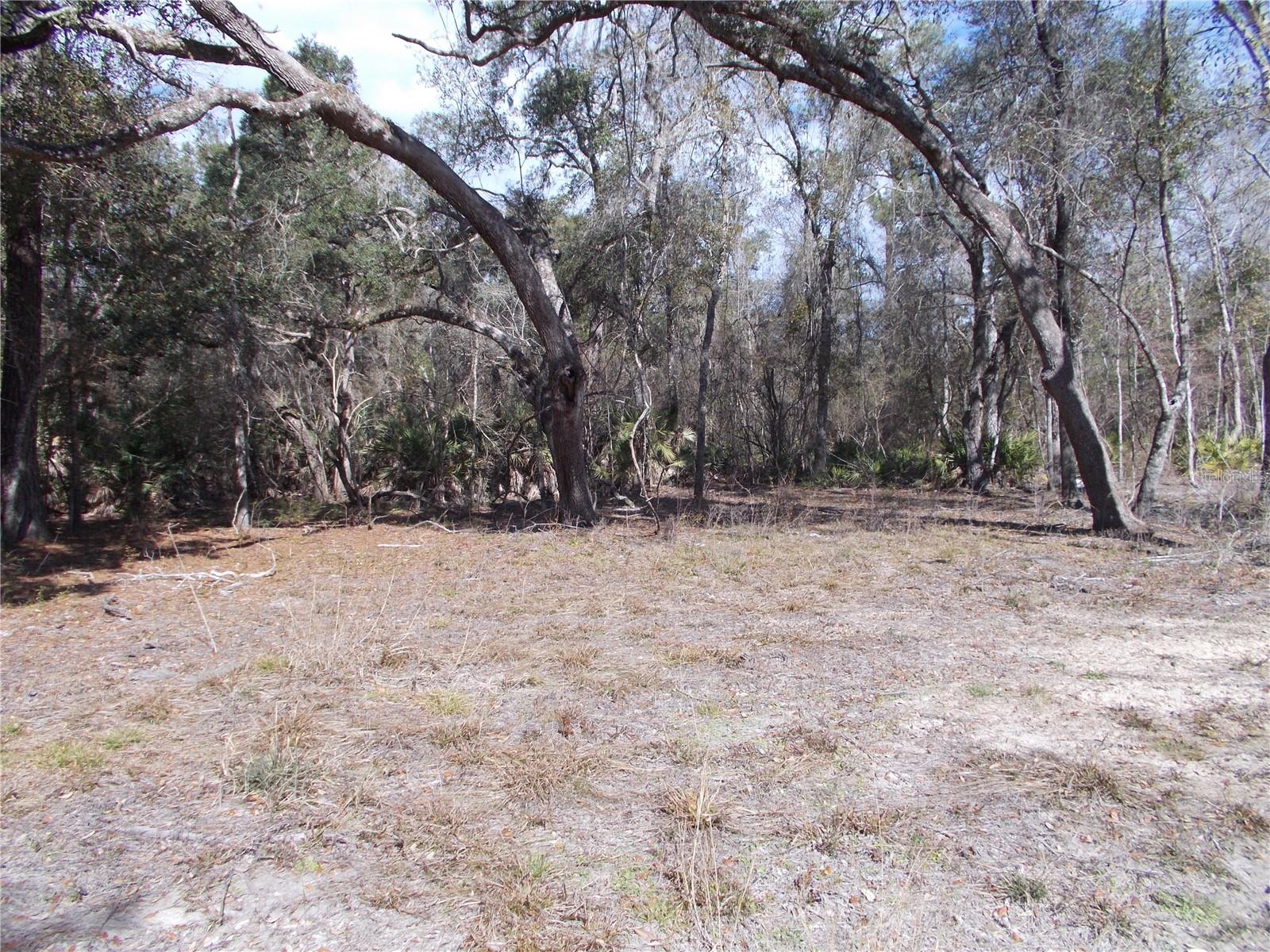 0000 NE 836TH ST, OLD TOWN, FL, 32680