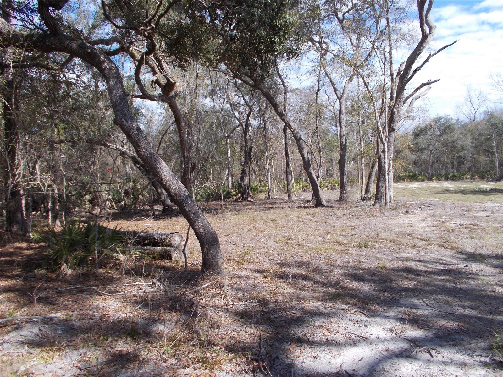 0000 NE 836TH ST, OLD TOWN, FL, 32680