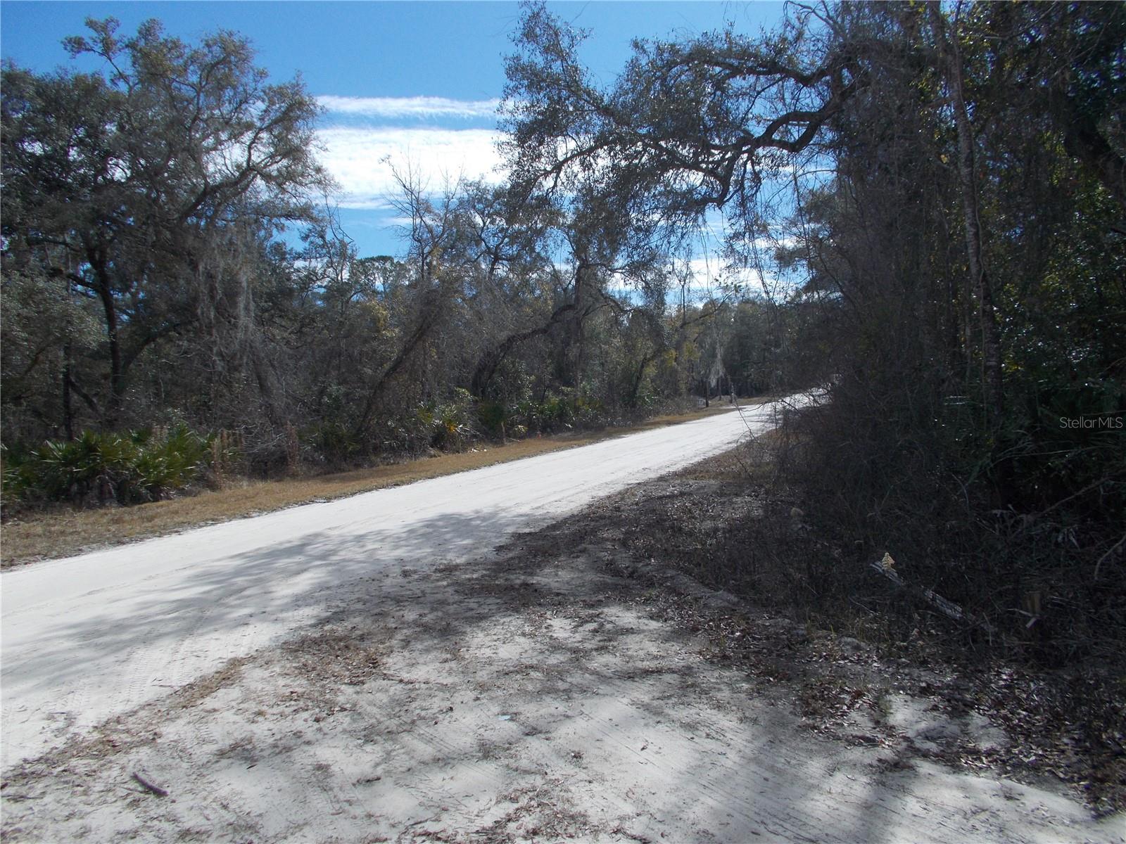 0000 NE 836TH ST, OLD TOWN, FL, 32680