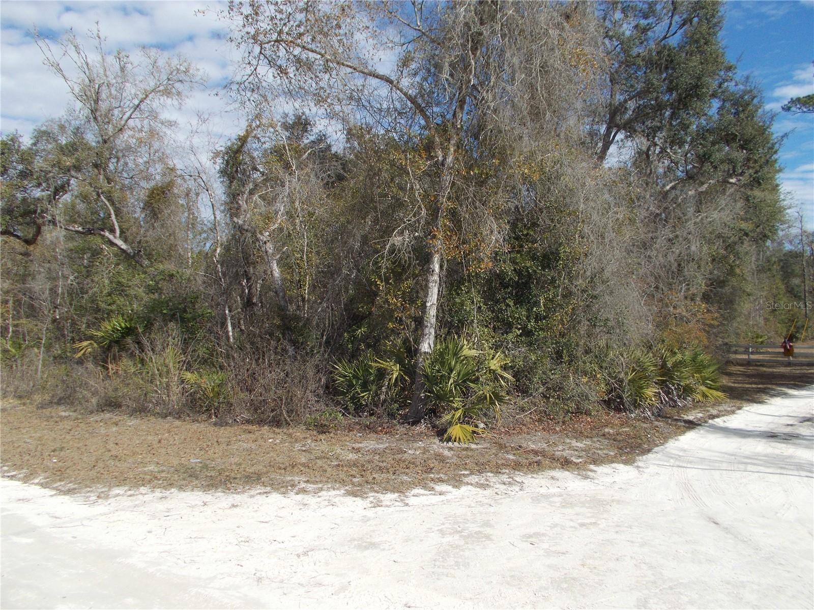 0000 NE 836TH ST, OLD TOWN, FL, 32680