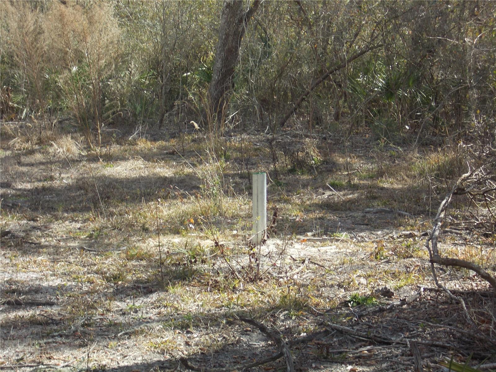 0000 NE 836TH ST, OLD TOWN, FL, 32680