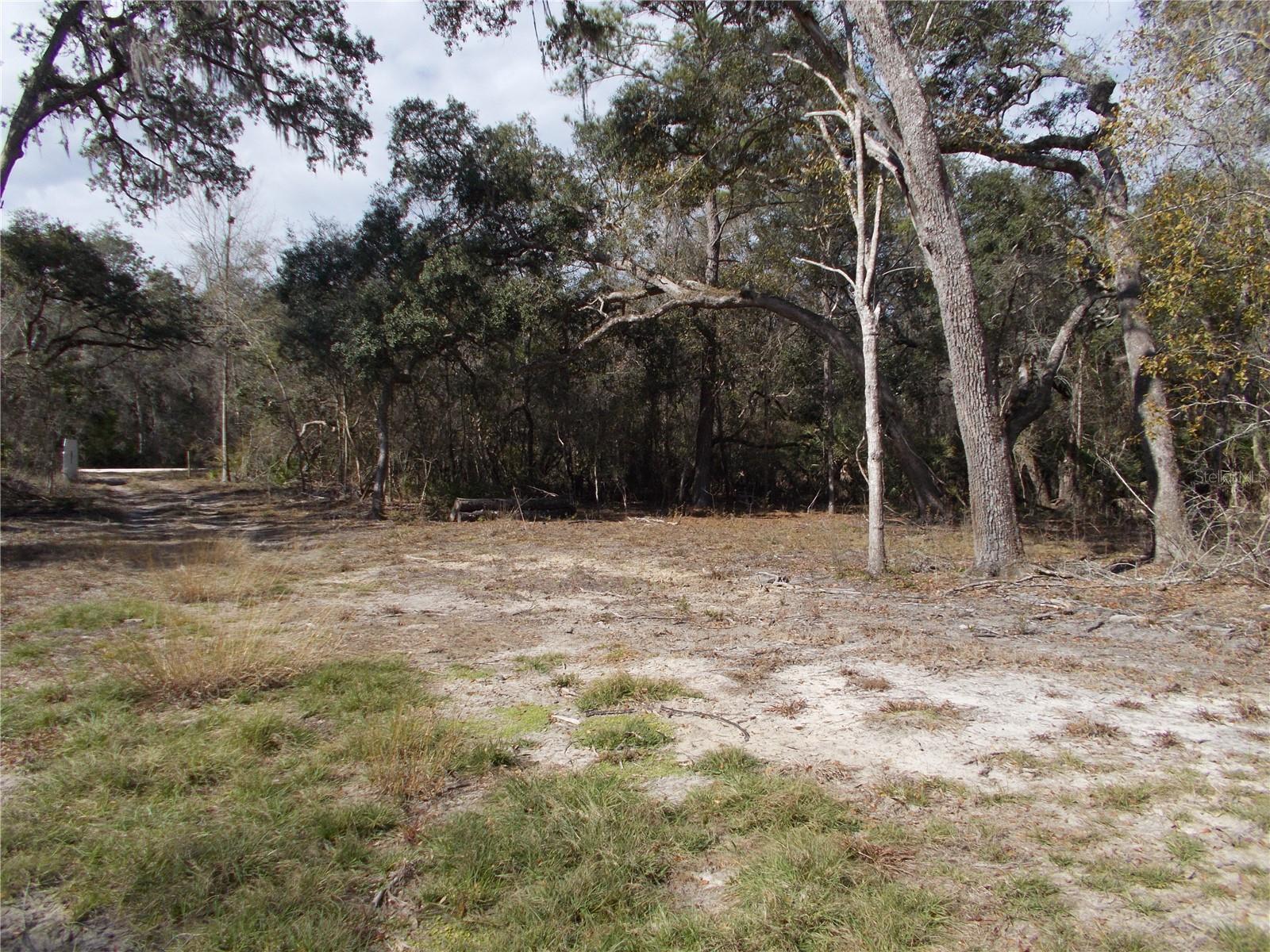 0000 NE 836TH ST, OLD TOWN, FL, 32680