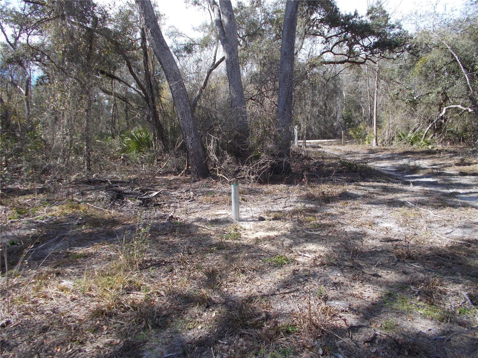 0000 NE 836TH ST, OLD TOWN, FL, 32680