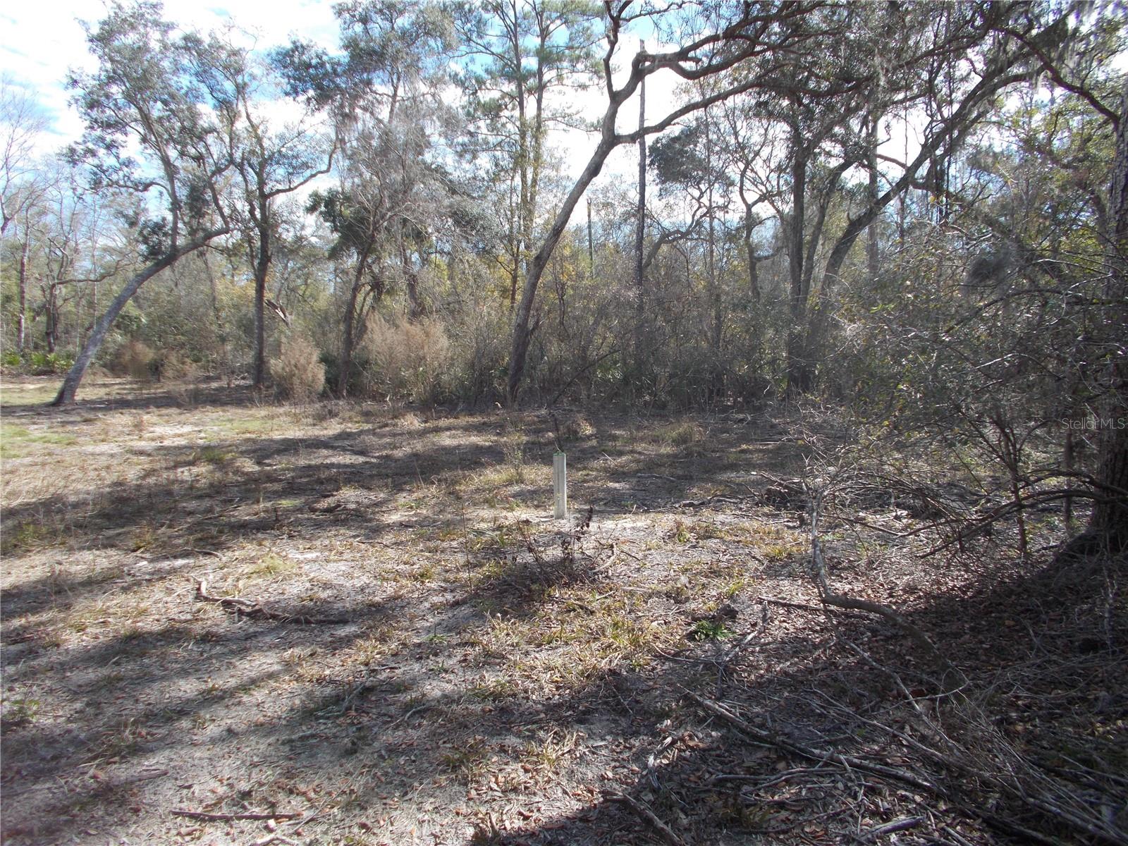 0000 NE 836TH ST, OLD TOWN, FL, 32680