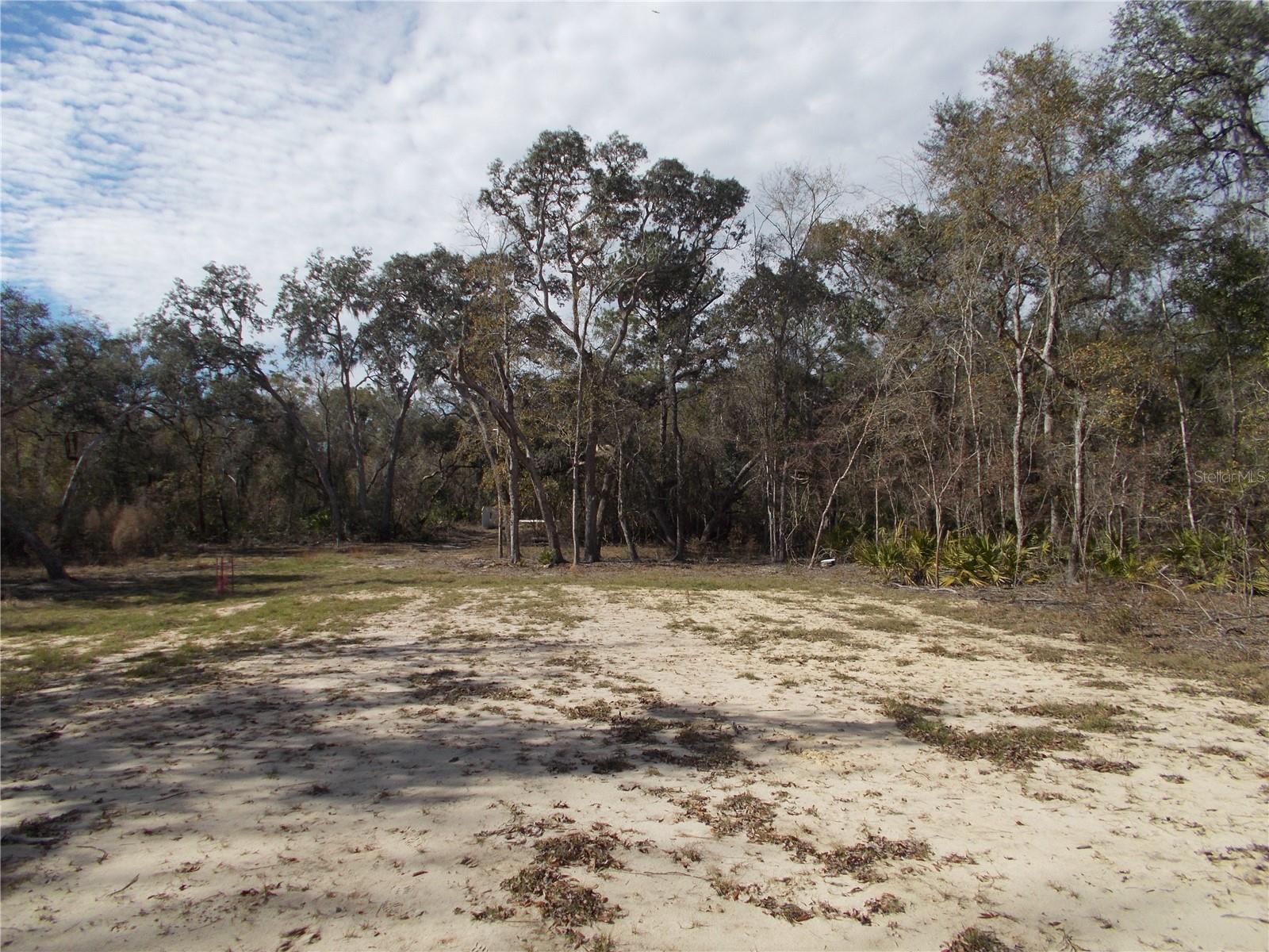 0000 NE 836TH ST, OLD TOWN, FL, 32680