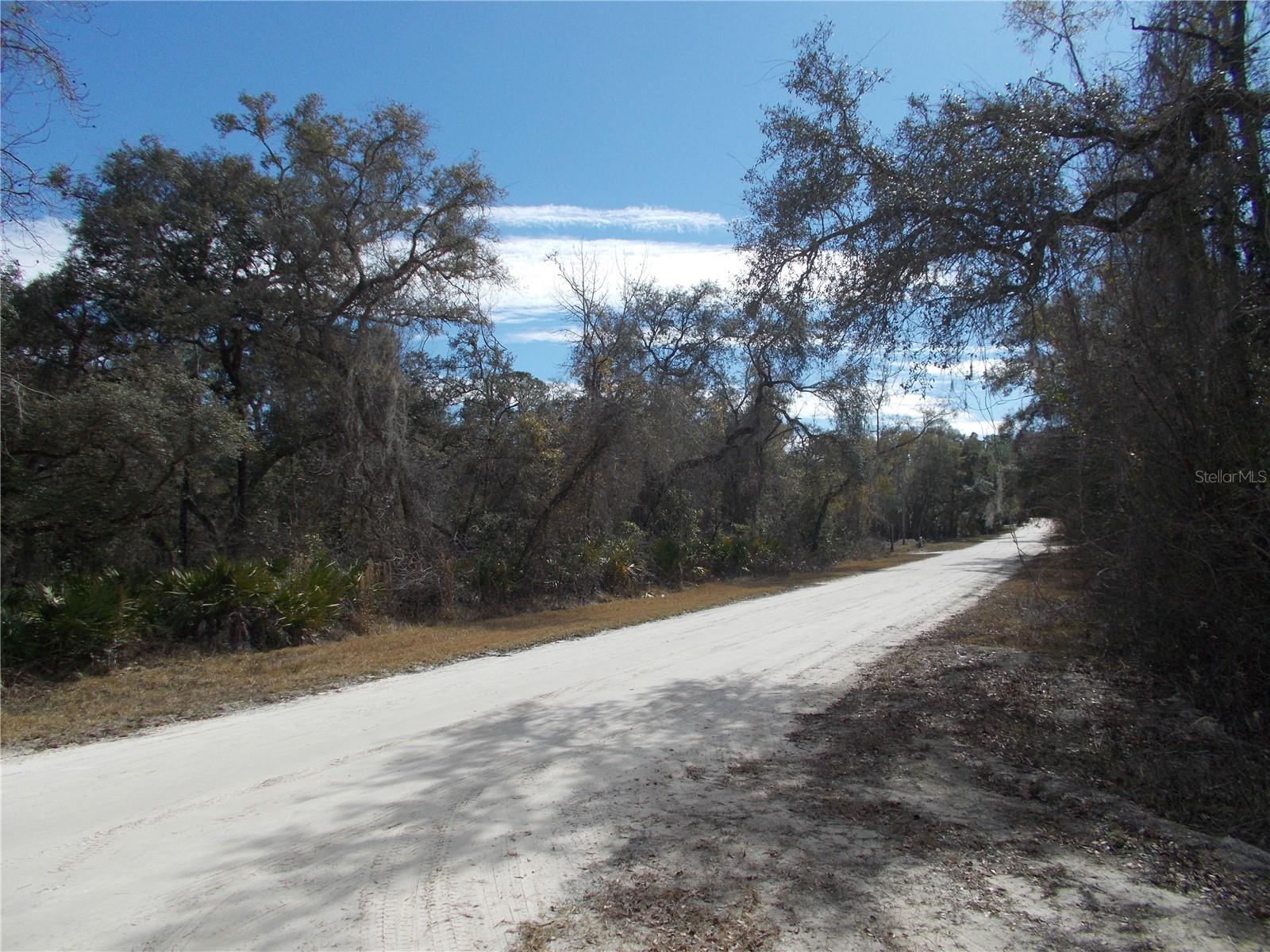 0000 NE 836TH ST, OLD TOWN, FL, 32680