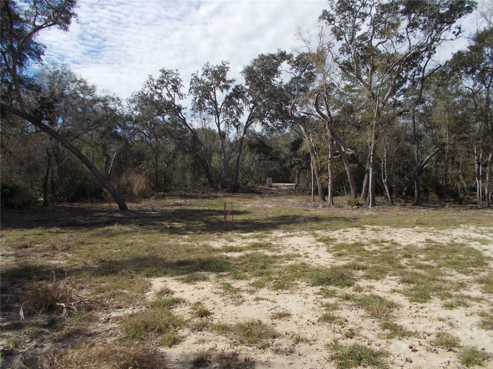 0000 NE 836TH ST, OLD TOWN, FL, 32680