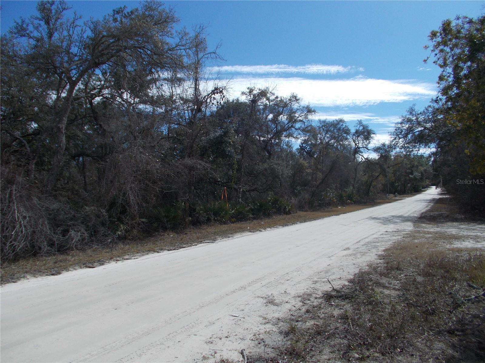 0000 NE 836TH ST, OLD TOWN, FL, 32680