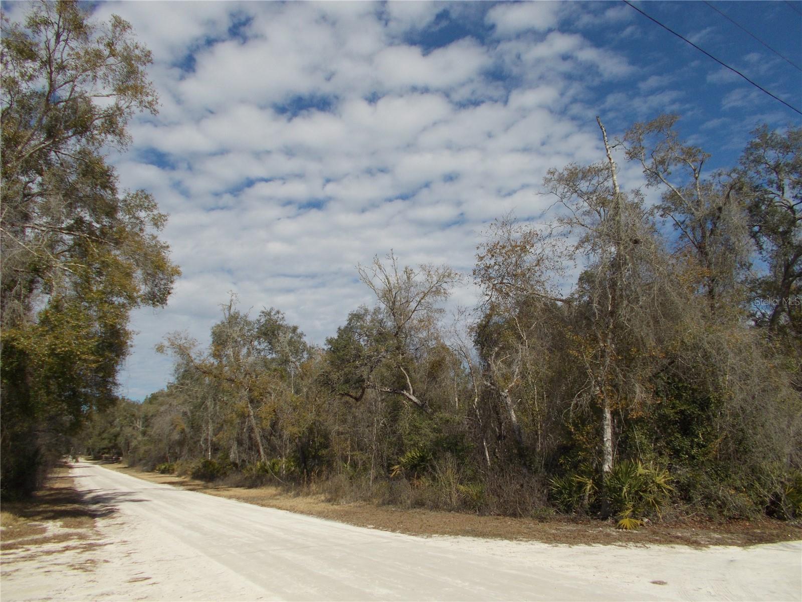 0000 NE 836TH ST, OLD TOWN, FL, 32680