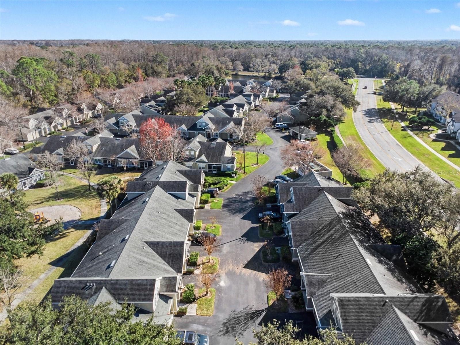 3588 WEMBLEY WAY #103, PALM HARBOR, FL, 34685