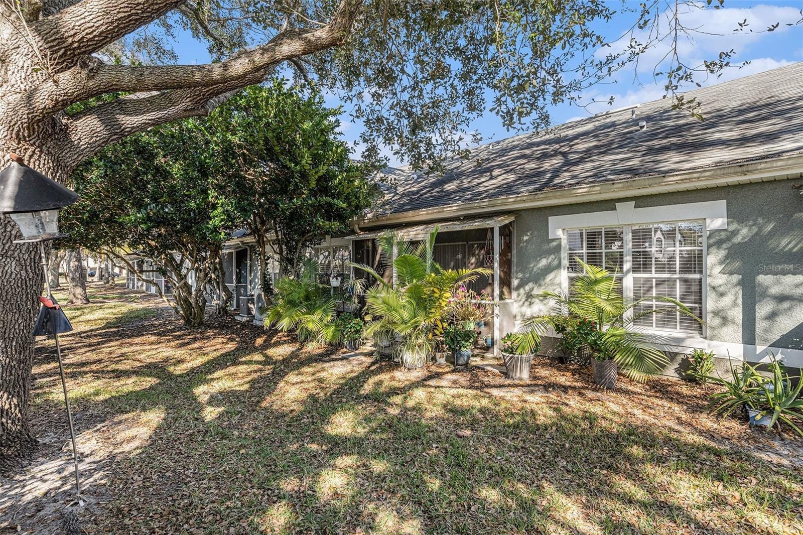 3588 WEMBLEY WAY #103, PALM HARBOR, FL, 34685