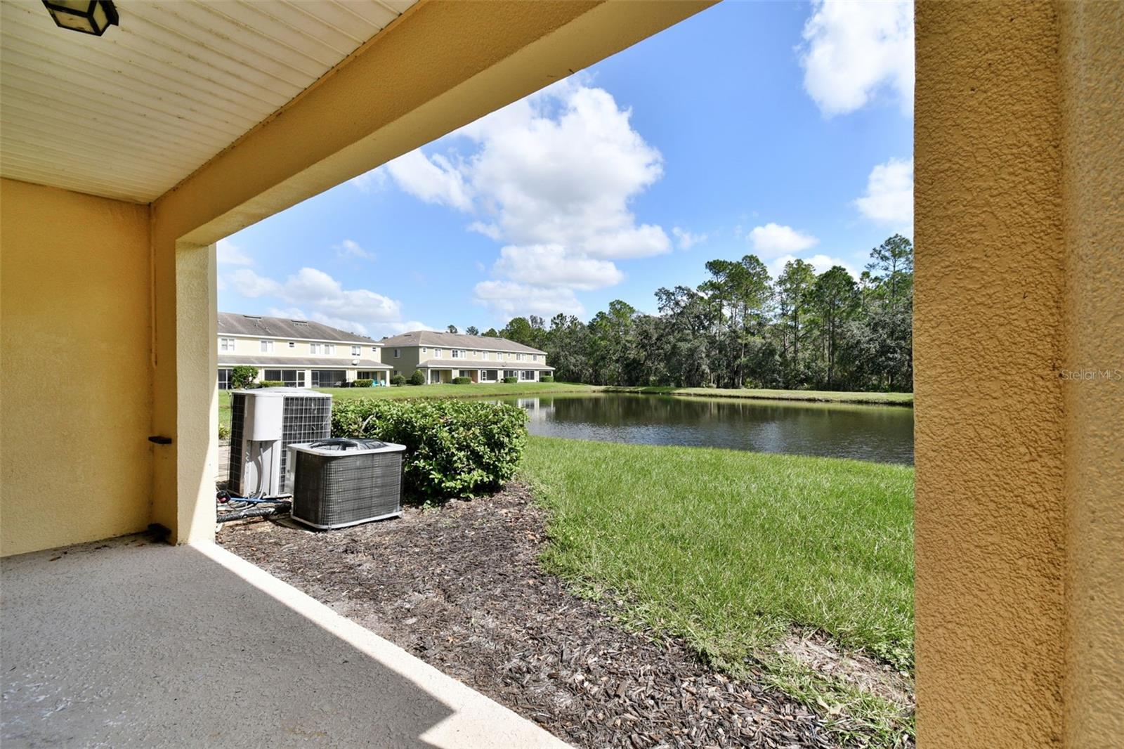 20461 BERRYWOOD LN, TAMPA, FL, 33647