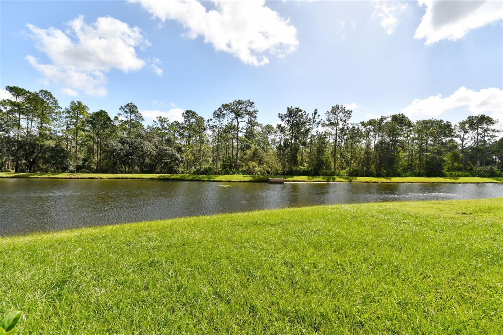 20461 BERRYWOOD LN, TAMPA, FL, 33647