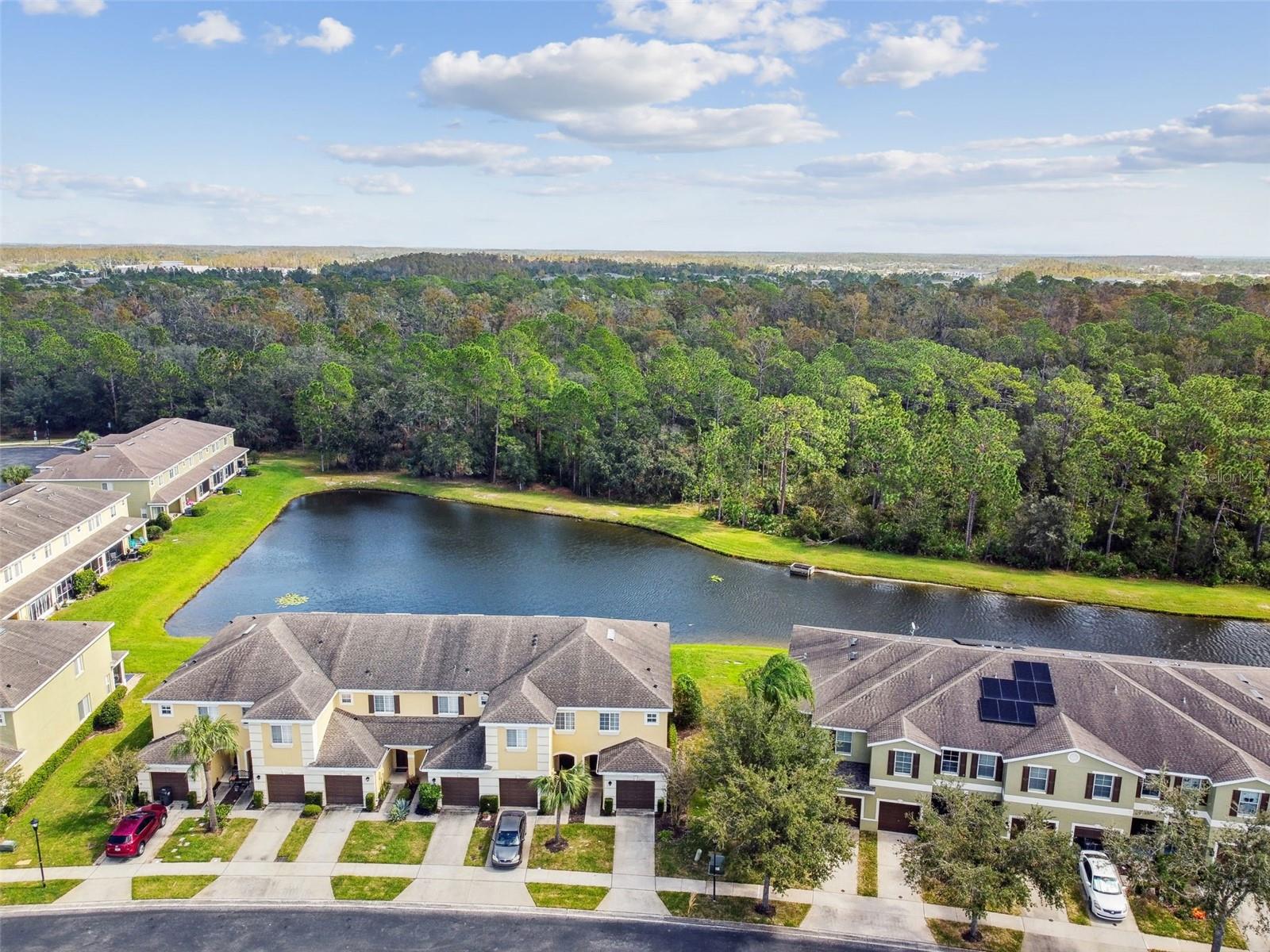 20461 BERRYWOOD LN, TAMPA, FL, 33647