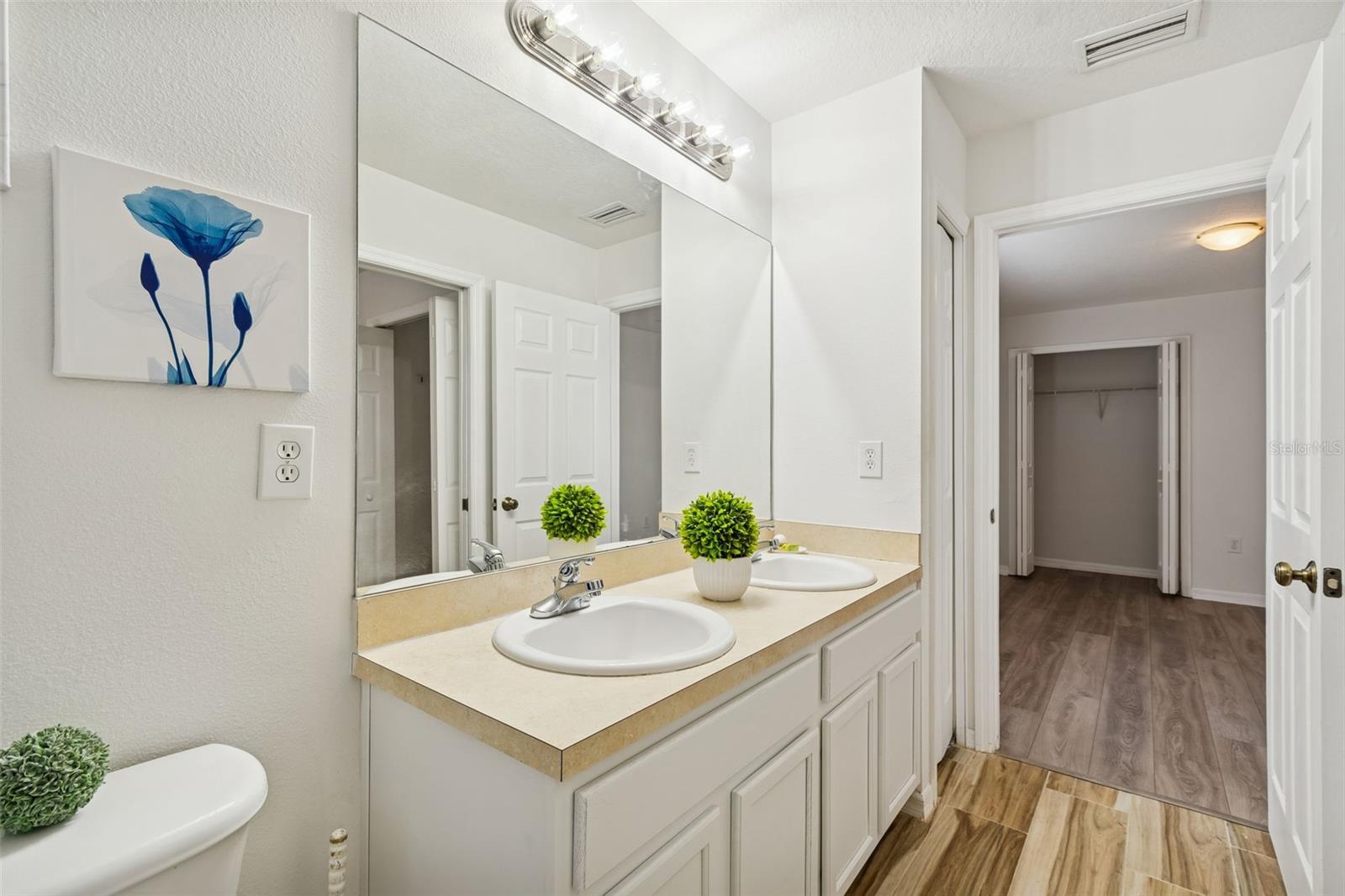 20461 BERRYWOOD LN, TAMPA, FL, 33647