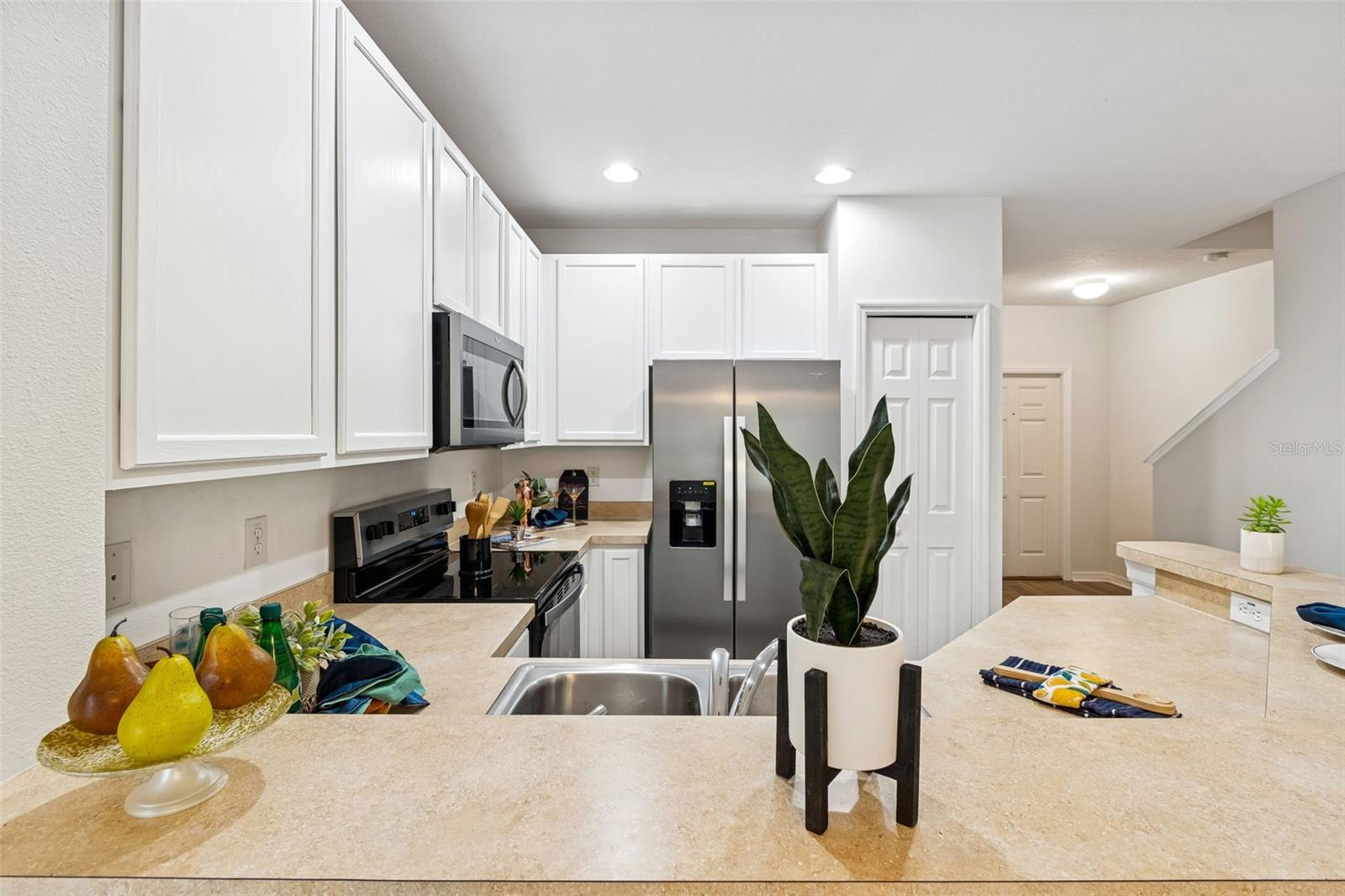 20461 BERRYWOOD LN, TAMPA, FL, 33647