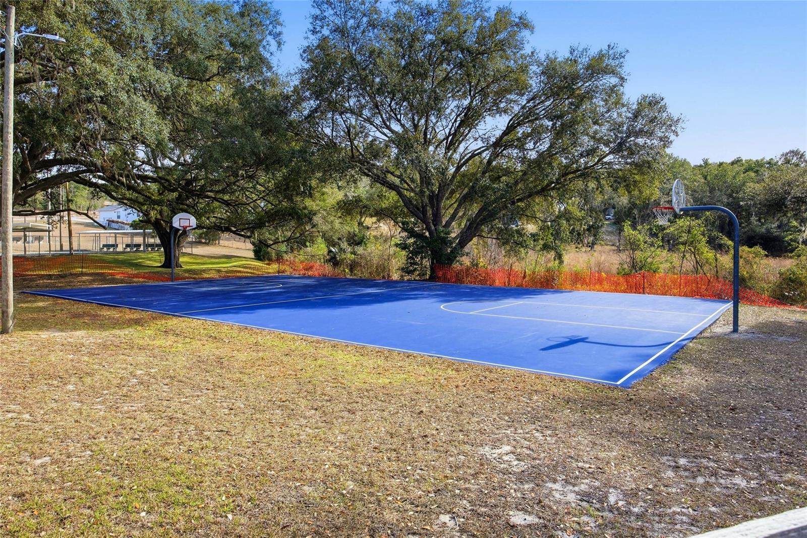 Lot 163 SW SHOREWOOD DR, DUNNELLON, FL, 34431