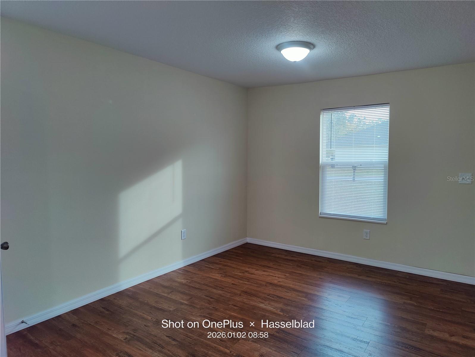 2009 HENLEY RD, LUTZ, FL, 33558