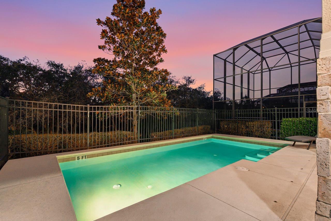 1437 FAIRVIEW CIR, REUNION, FL, 34747