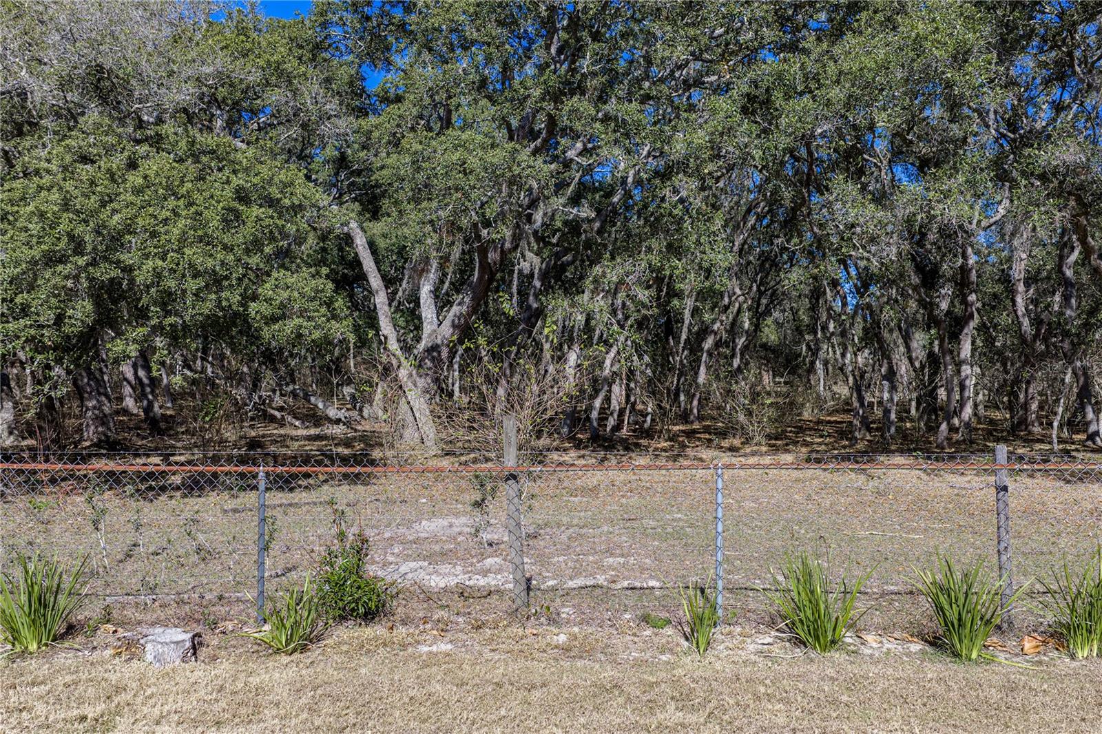 3652 HURLBUT CIR, LAKE WALES, FL, 33898