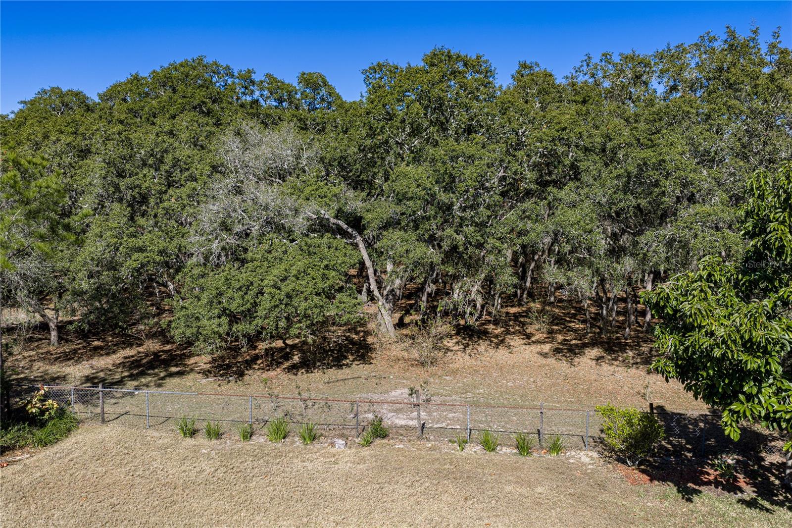 3652 HURLBUT CIR, LAKE WALES, FL, 33898