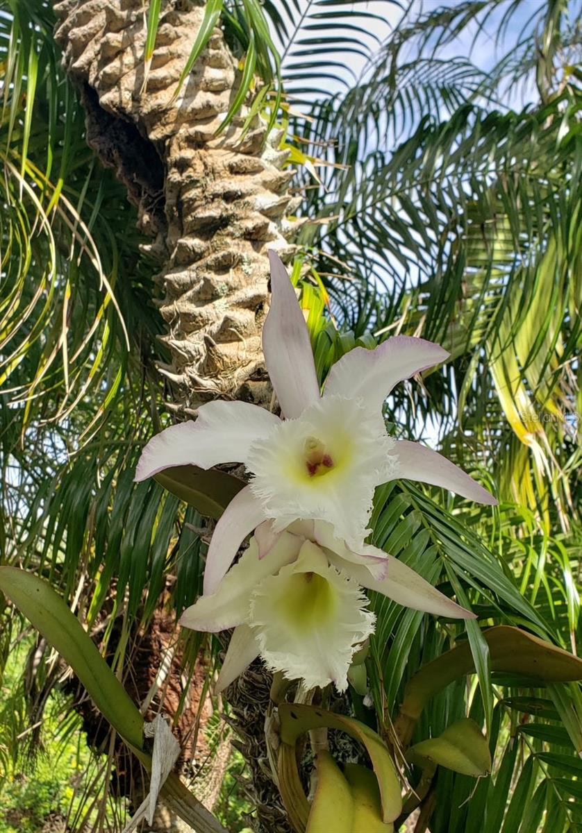 387 VICEROY TER, PORT CHARLOTTE, FL, 33954