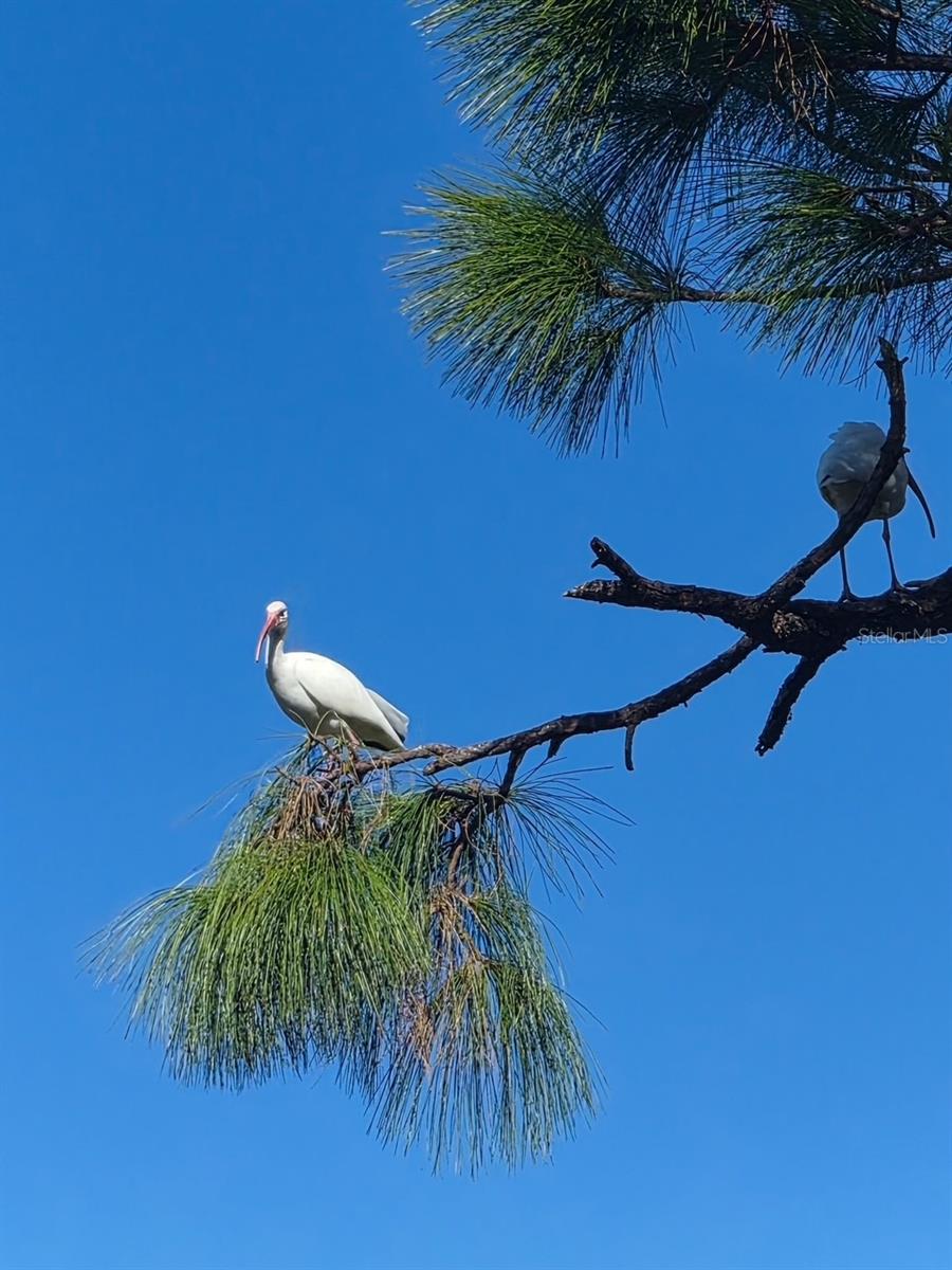 387 VICEROY TER, PORT CHARLOTTE, FL, 33954